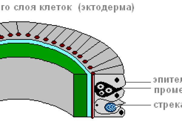 Tor сайт blacksprut