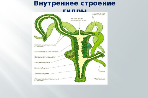 Блэкспрут официальный